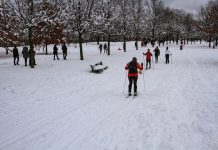Come Prepararsi per gli Eventi delle Olimpiadi Invernali e l’Allenamento people walking on snow covered ground during daytime