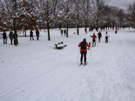 Come Prepararsi per gli Eventi delle Olimpiadi Invernali e l’Allenamento people walking on snow covered ground during daytime