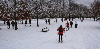 Come Prepararsi per gli Eventi delle Olimpiadi Invernali e l’Allenamento people walking on snow covered ground during daytime