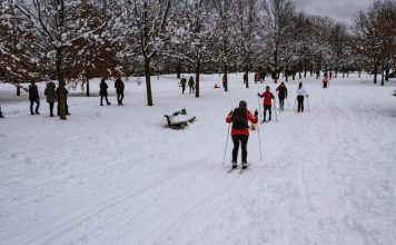 Come Prepararsi per gli Eventi delle Olimpiadi Invernali e l’Allenamento people walking on snow covered ground during daytime