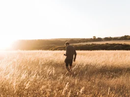 Che fine ha fatto il golden goal nel calcio
